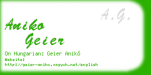 aniko geier business card